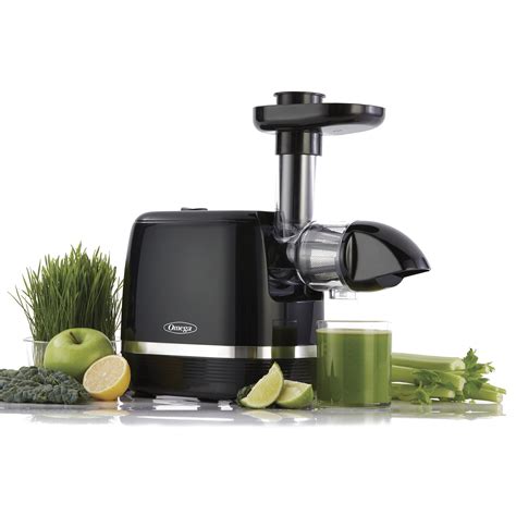 Omega Cold Press Slow Juicer 